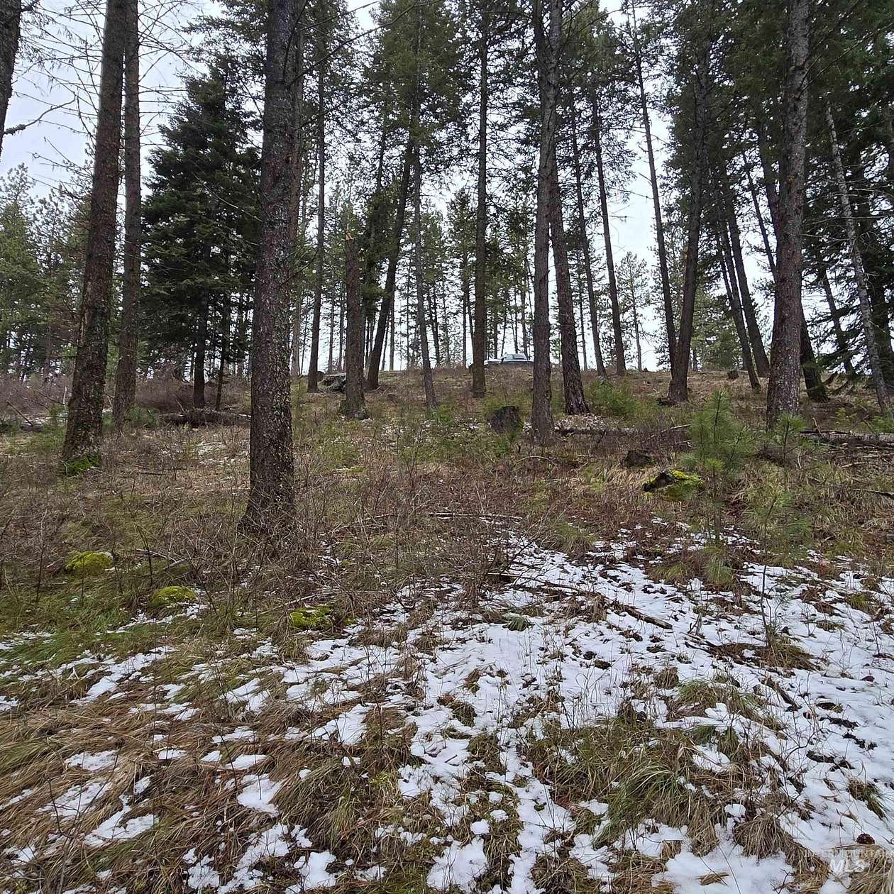 1.75 Acres of Residential Land for Sale in New Meadows, Idaho