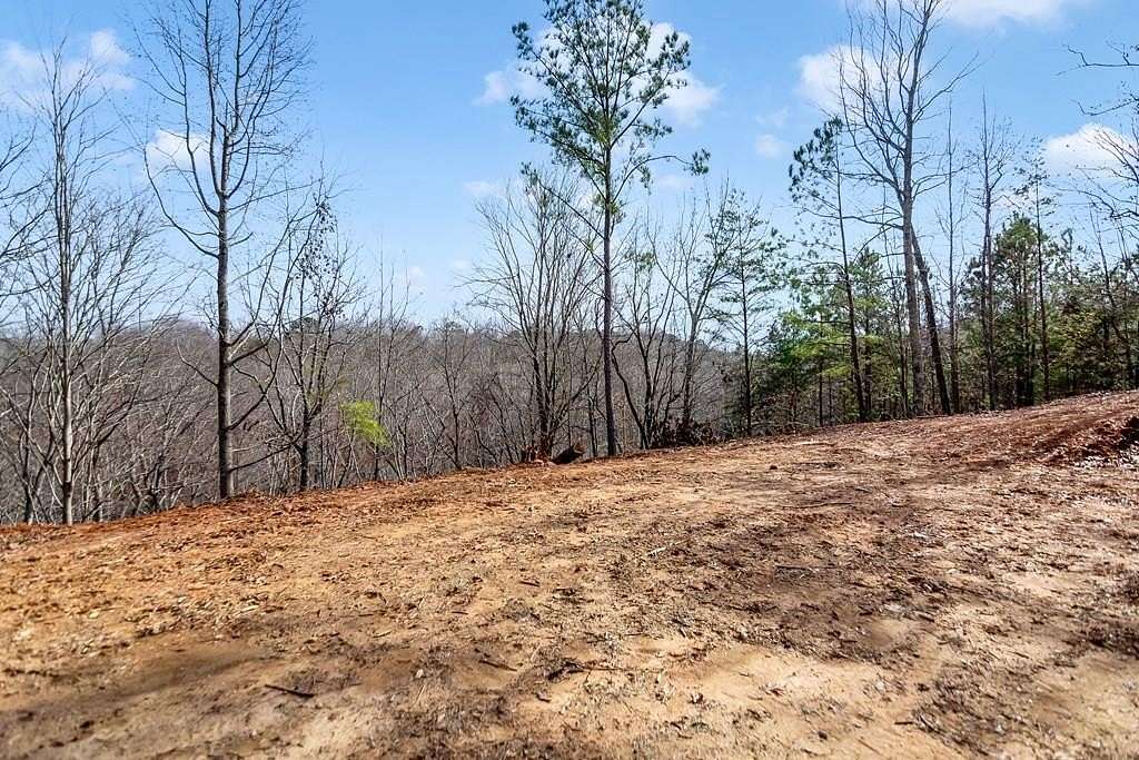 1.59 Acres of Residential Land for Sale in Ellijay, Georgia