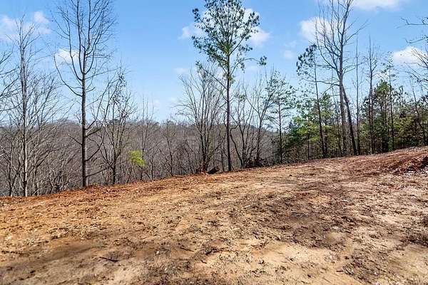 1.59 Acres of Residential Land for Sale in Ellijay, Georgia