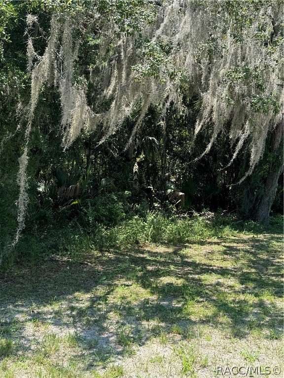 0.95 Acres of Residential Land for Sale in Crystal River, Florida