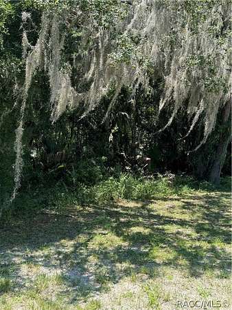 0.95 Acres of Residential Land for Sale in Crystal River, Florida