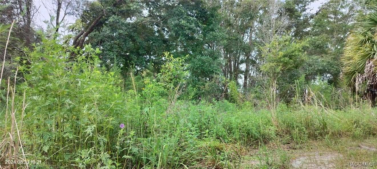 0.15 Acres of Residential Land for Sale in Inverness, Florida