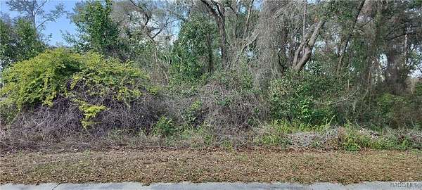 0.22 Acres of Residential Land for Sale in Inverness, Florida