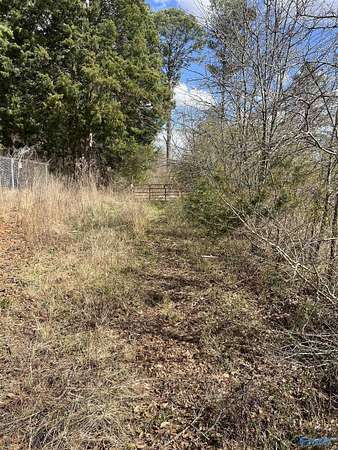 60 Acres of Land for Sale in Moulton, Alabama