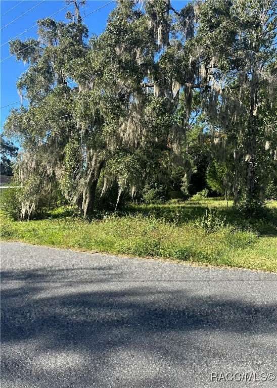 0.2 Acres of Mixed-Use Land for Sale in Williston, Florida