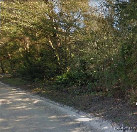 1 Acre of Residential Land for Sale in Bell, Florida