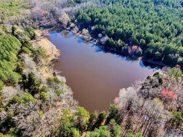32 Acres of Land for Sale in Town Creek, Alabama