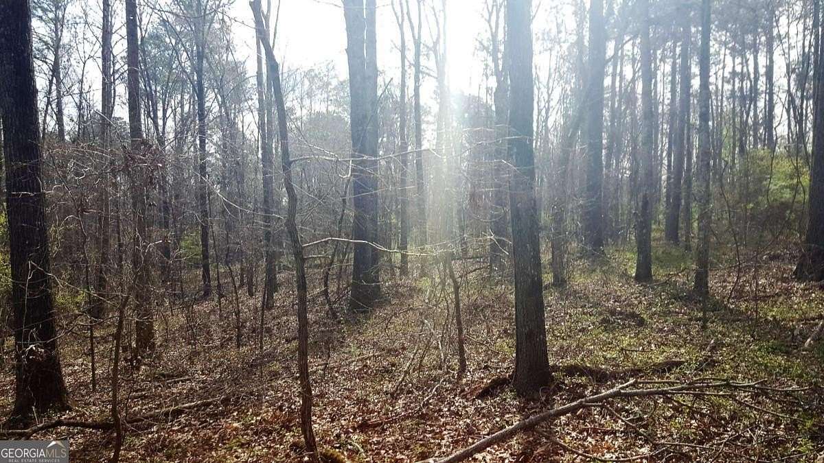 20.2 Acres of Recreational & Residential Land for Sale in Stockbridge, Georgia