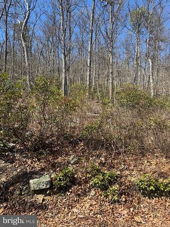 0.26 Acres of Residential Land for Sale in Winchester, Virginia