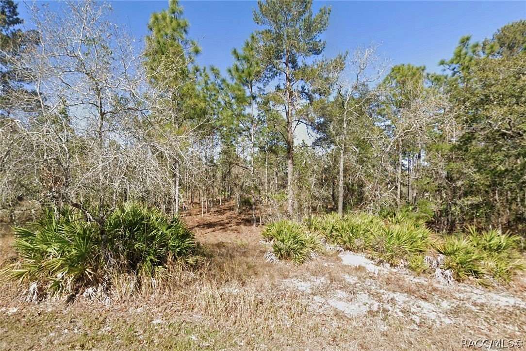 0.46 Acres of Residential Land for Sale in Brooksville, Florida