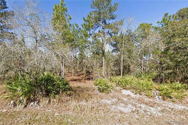 0.46 Acres of Residential Land for Sale in Brooksville, Florida