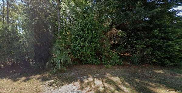 0.5 Acres of Residential Land for Sale in Inverness, Florida