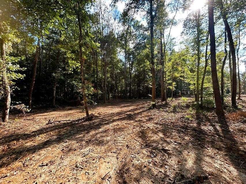 9.2 Acres of Residential Land for Sale in Ten Mile, Tennessee