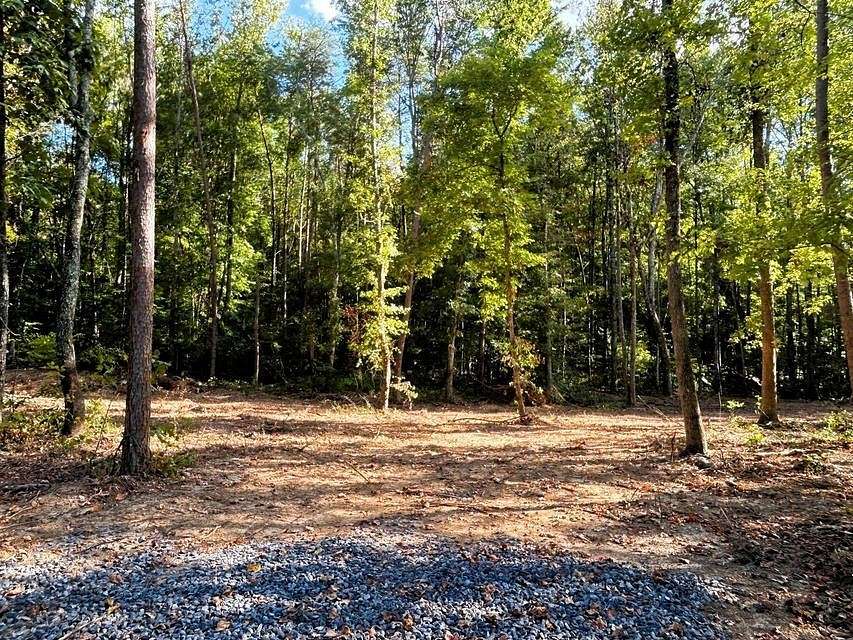 9.2 Acres of Land for Sale in Ten Mile, Tennessee
