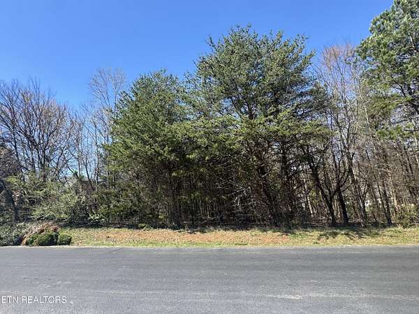0.36 Acres of Residential Land for Sale in Vonore, Tennessee