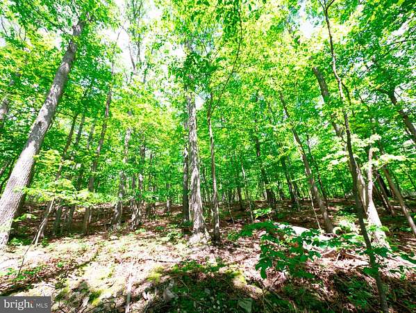 0.55 Acres of Land for Sale in Winchester, Virginia