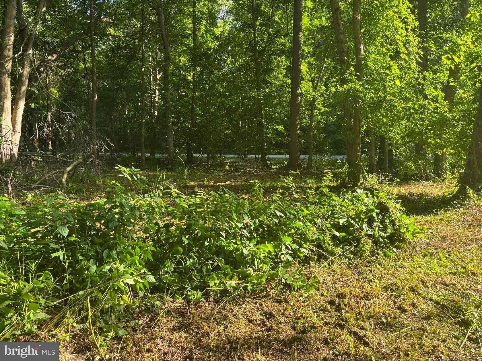 0.74 Acres of Residential Land for Sale in Hartly, Delaware