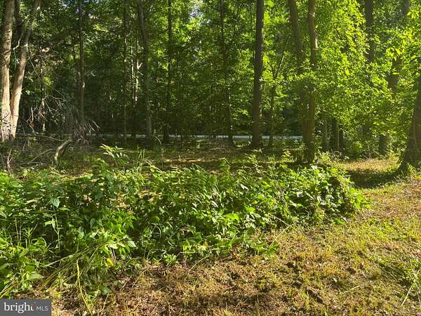 0.74 Acres of Residential Land for Sale in Hartly, Delaware