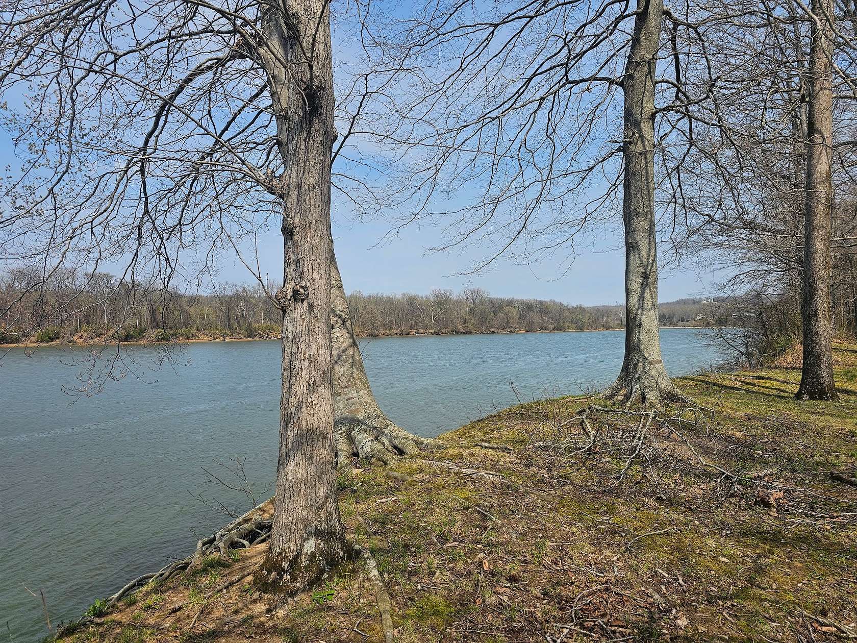 0.78 Acres of Residential Land for Sale in Clifton, Tennessee
