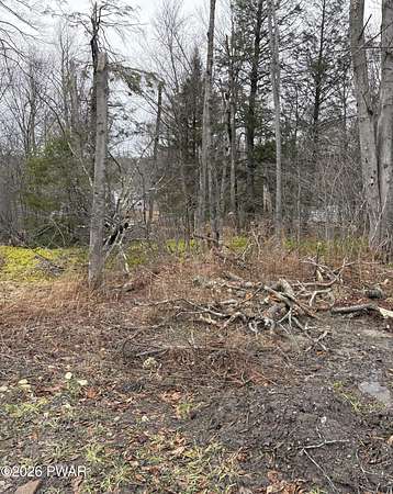 0.05 Acres of Land for Sale in Newfoundland, Pennsylvania