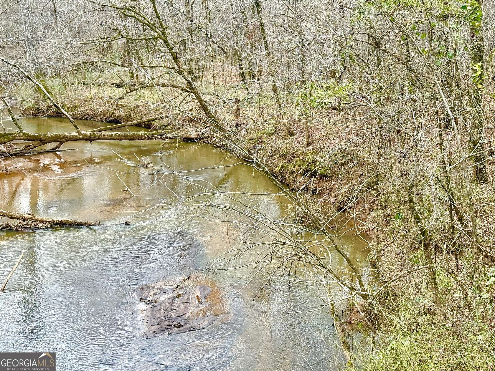 49.3 Acres of Recreational Land for Sale in Waverly Hall, Georgia