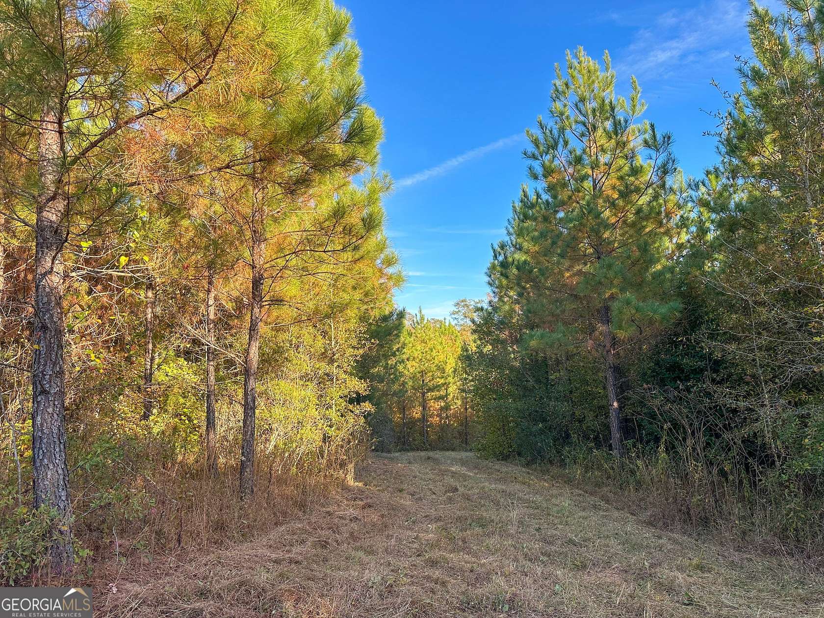 49.3 Acres of Recreational & Residential Land for Sale in Waverly Hall, Georgia