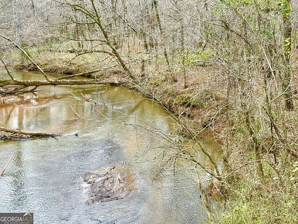 49.3 Acres of Recreational Land for Sale in Waverly Hall, Georgia