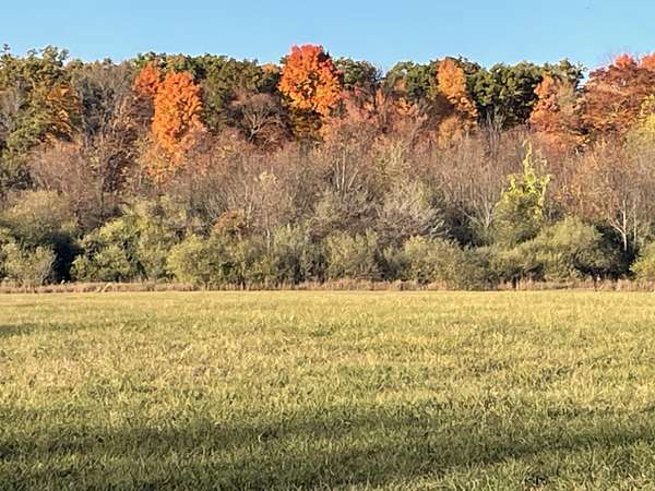 78.2 Acres of Land for Sale in Big Rapids, Michigan