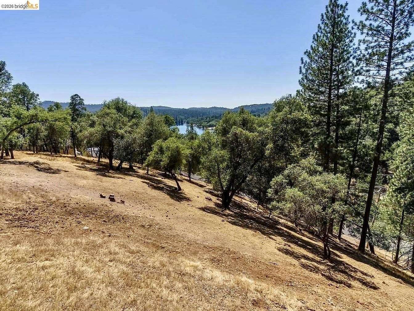 0.28 Acres of Residential Land for Sale in Groveland, California