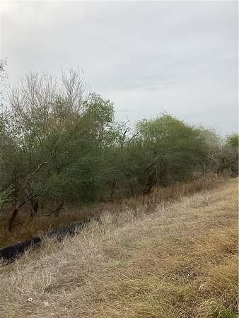 1.9 Acres of Residential Land for Sale in Alice, Texas