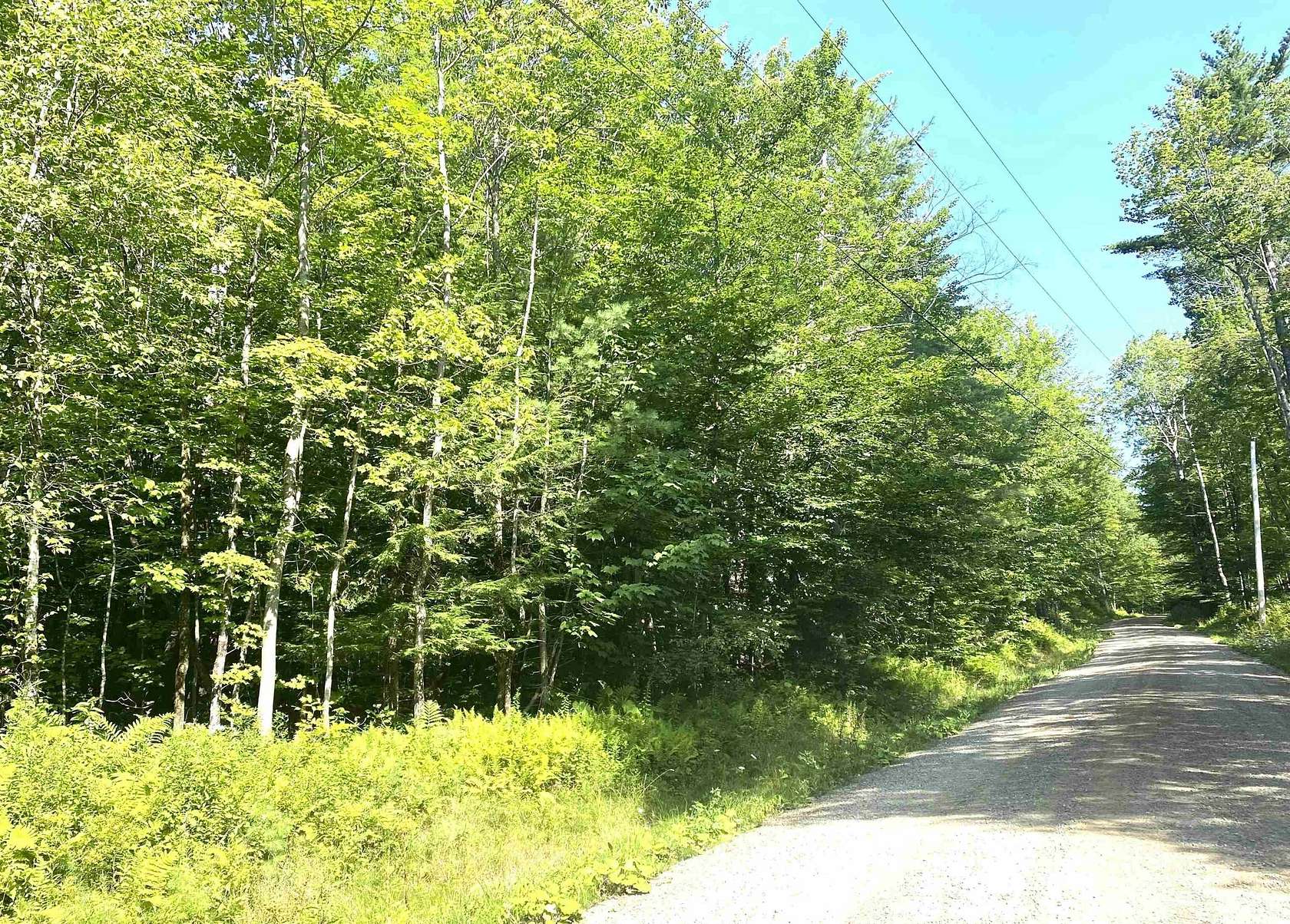 15.1 Acres of Land for Sale in Ripton, Vermont
