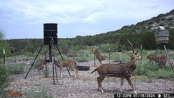 45.5 Acres of Recreational Land for Sale in Rocksprings, Texas