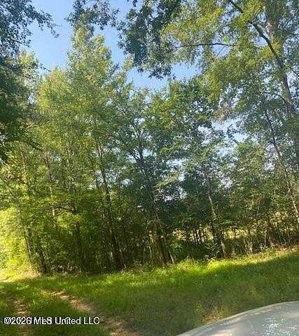 9 Acres of Residential Land for Sale in Pinola, Mississippi