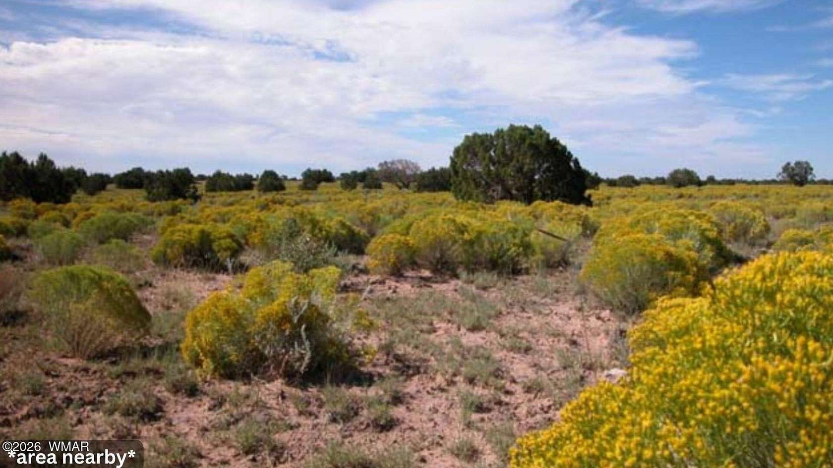 4.6 Acres of Residential Land for Sale in Chambers, Arizona