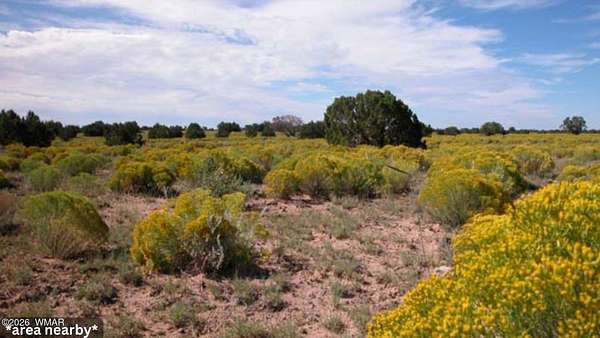 4.6 Acres of Residential Land for Sale in Chambers, Arizona