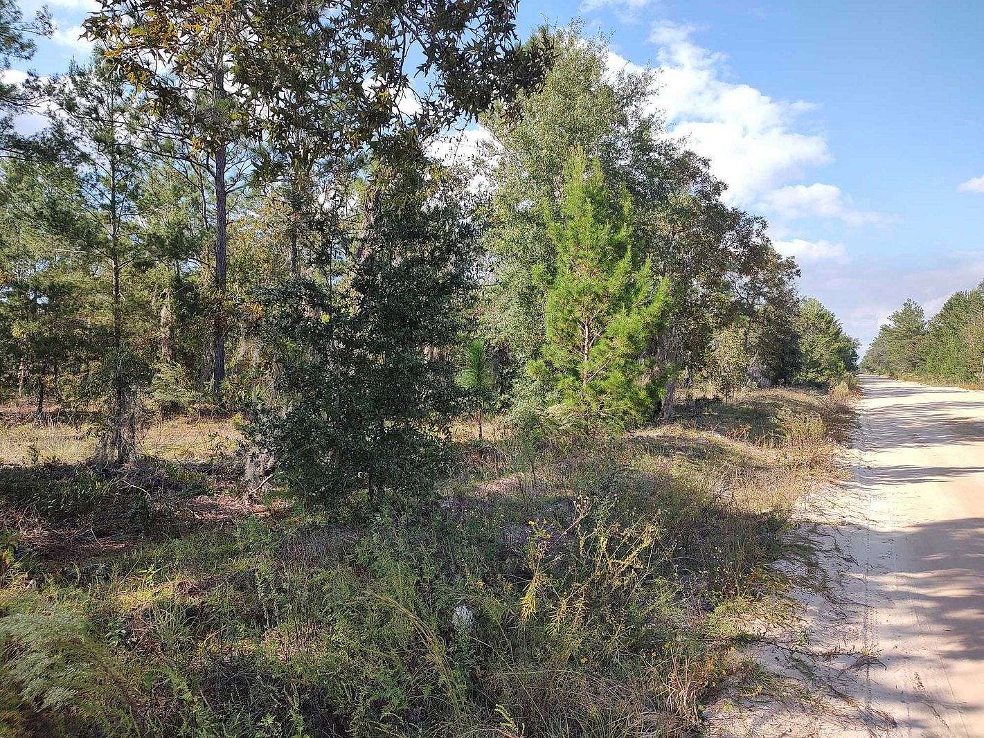 0.23 Acres of Residential Land for Sale in Interlachen, Florida