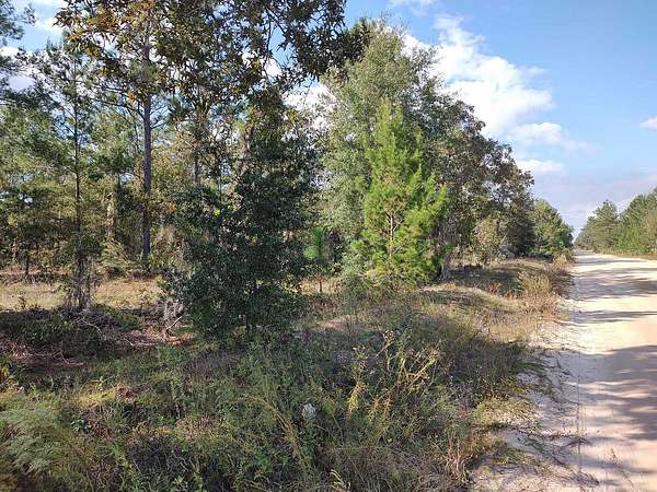 0.23 Acres of Residential Land for Sale in Interlachen, Florida