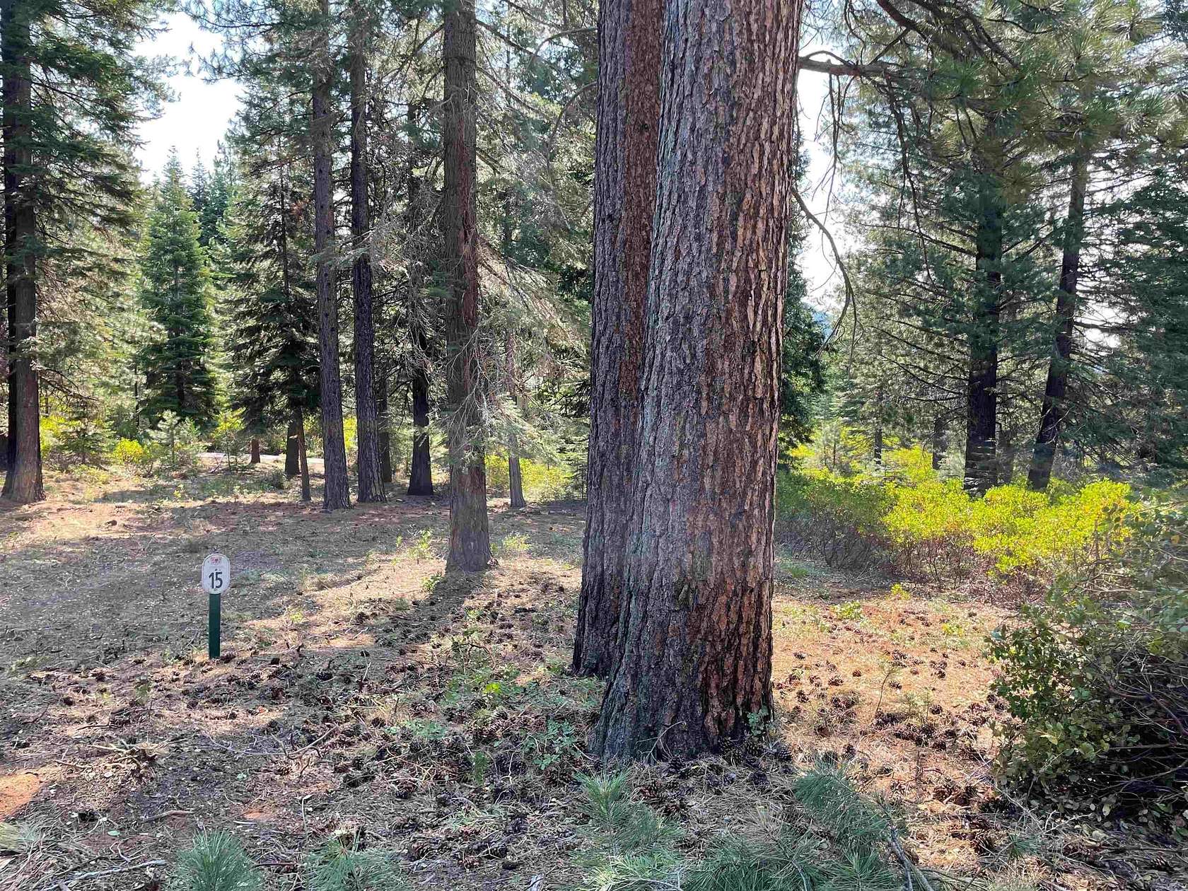 0.23 Acres of Land for Sale in Lake Almanor Peninsula, California