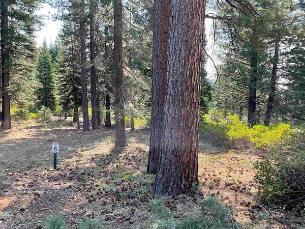 0.23 Acres of Land for Sale in Lake Almanor Peninsula, California