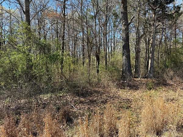 2.1 Acres of Residential Land for Sale in Tupelo, Mississippi