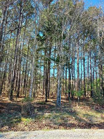 0.3 Acres of Residential Land for Sale in Hot Springs Village, Arkansas