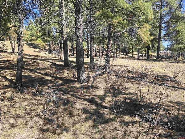 0.26 Acres of Residential Land for Sale in Pagosa Springs, Colorado