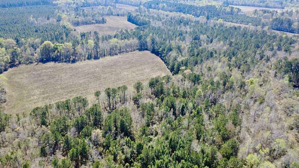 86.3 Acres of Land for Sale in St. George, South Carolina