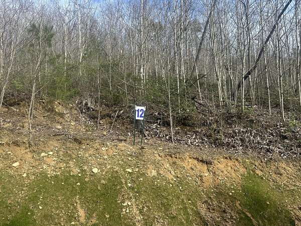 1.65 Acres of Residential Land for Sale in East Bernstadt, Kentucky