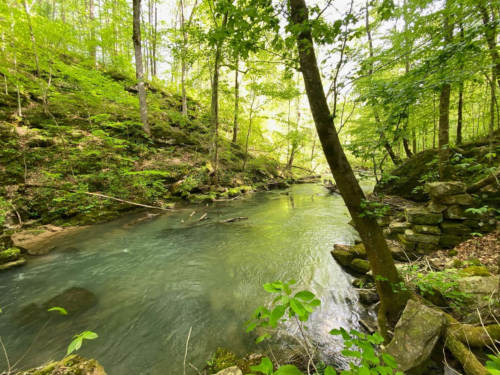 147 Acres of Recreational & Residential Land for Sale in Pikeville, Tennessee