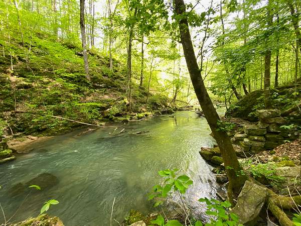 147 Acres of Recreational & Residential Land for Sale in Pikeville, Tennessee