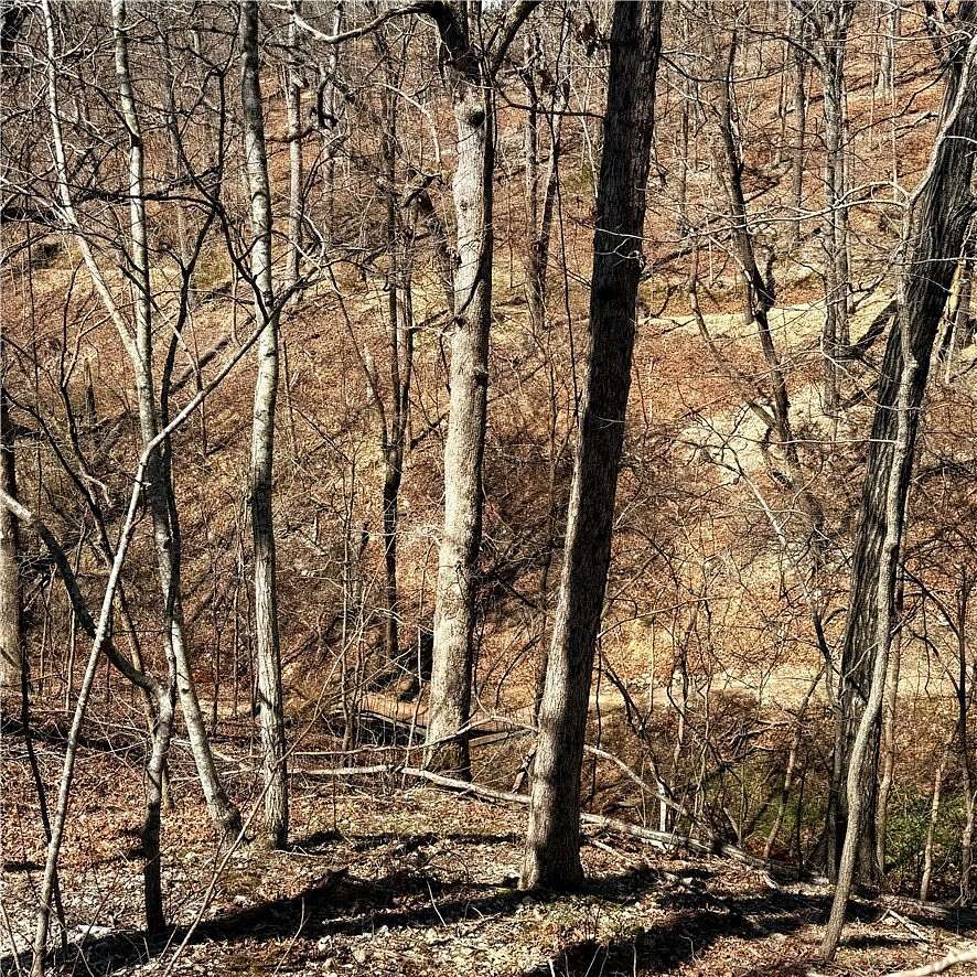 0.33 Acres of Residential Land for Sale in Bella Vista, Arkansas