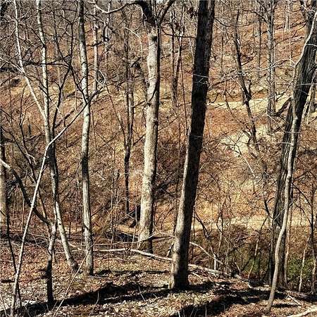 0.33 Acres of Residential Land for Sale in Bella Vista, Arkansas