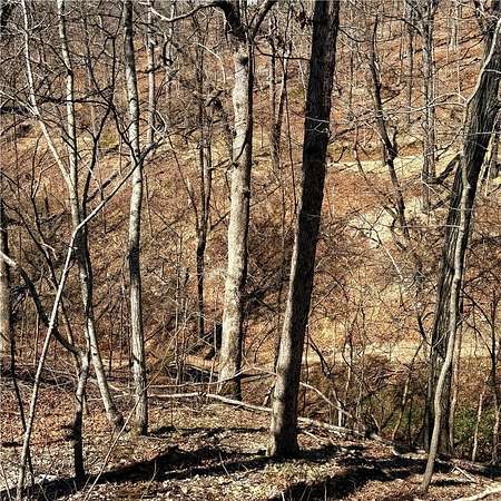 0.33 Acres of Residential Land for Sale in Bella Vista, Arkansas