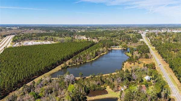 30 Acres of Mixed-Use Land for Sale in Sylvania, Georgia